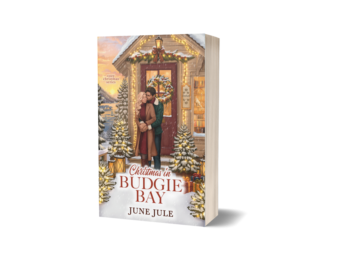 Christmas in Budgie Bay